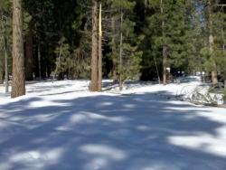 Children playing in the snow at Big Bear